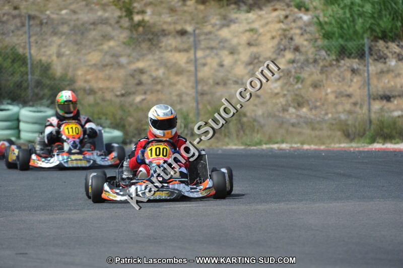 DSC (3225).JPG